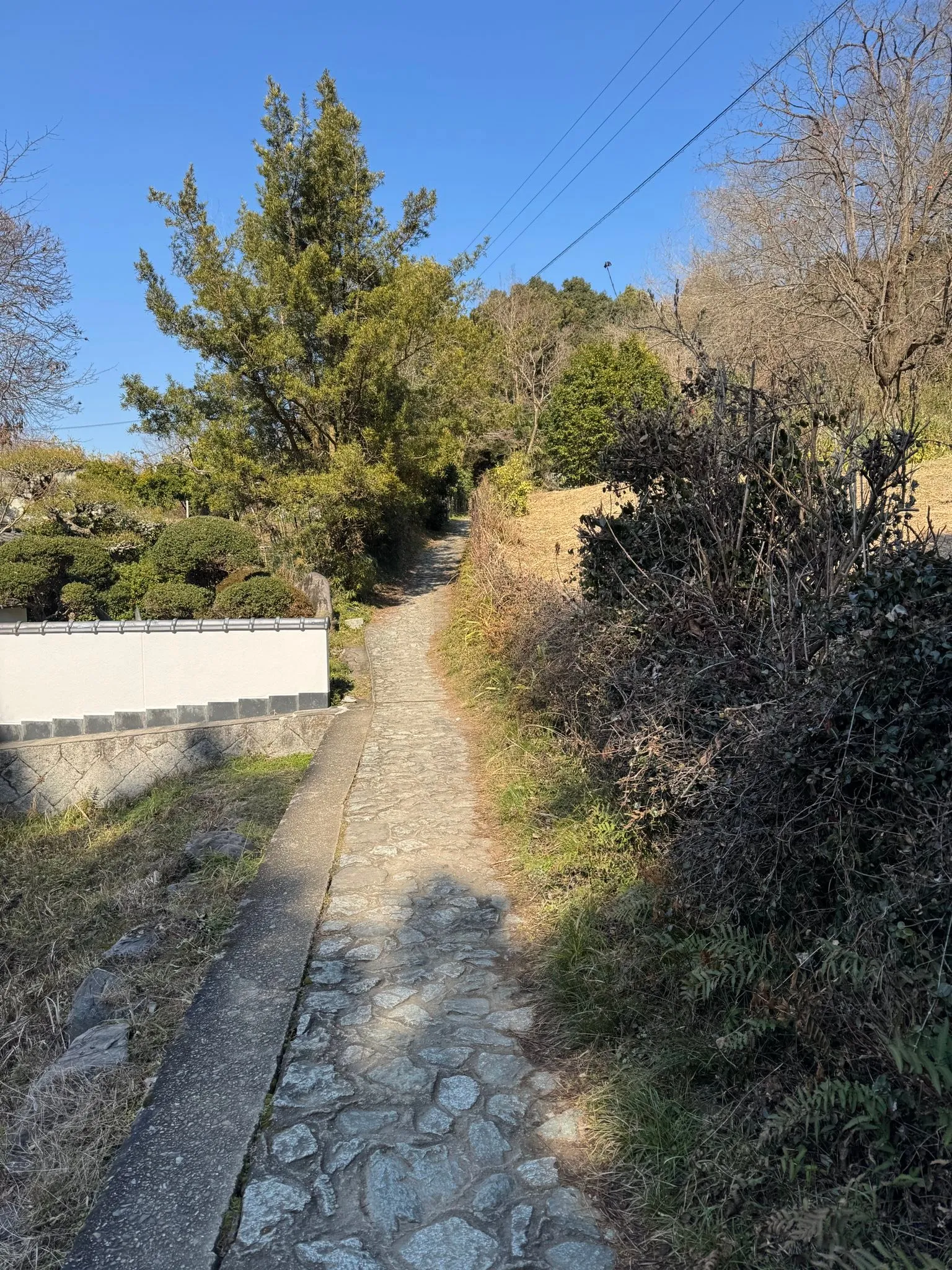 立春にお詣りに。