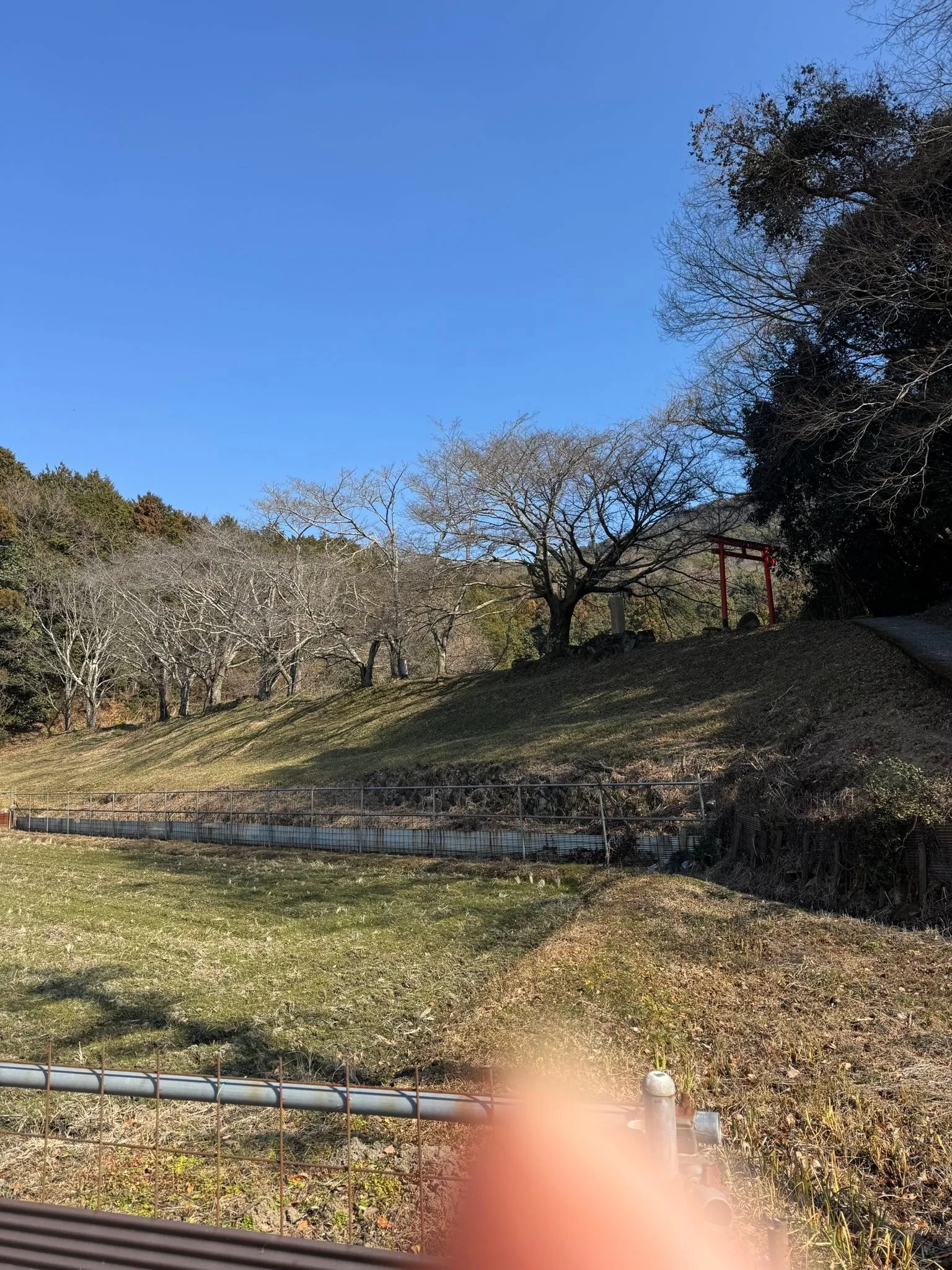 立春にお詣りに。