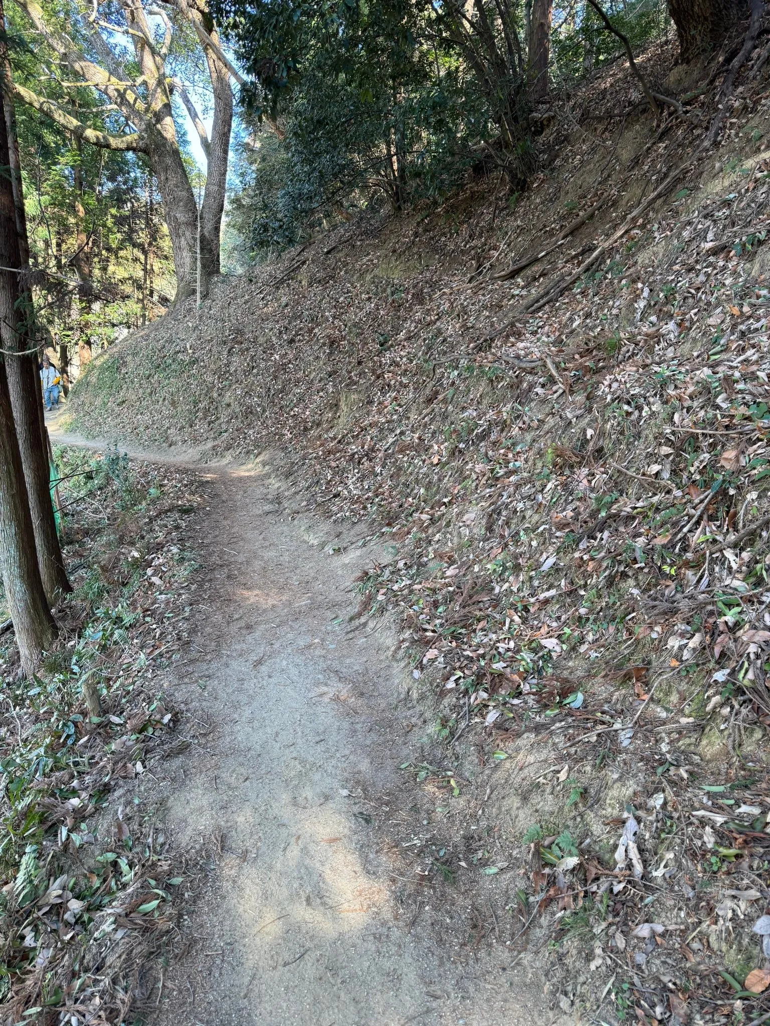 立春にお詣りに。