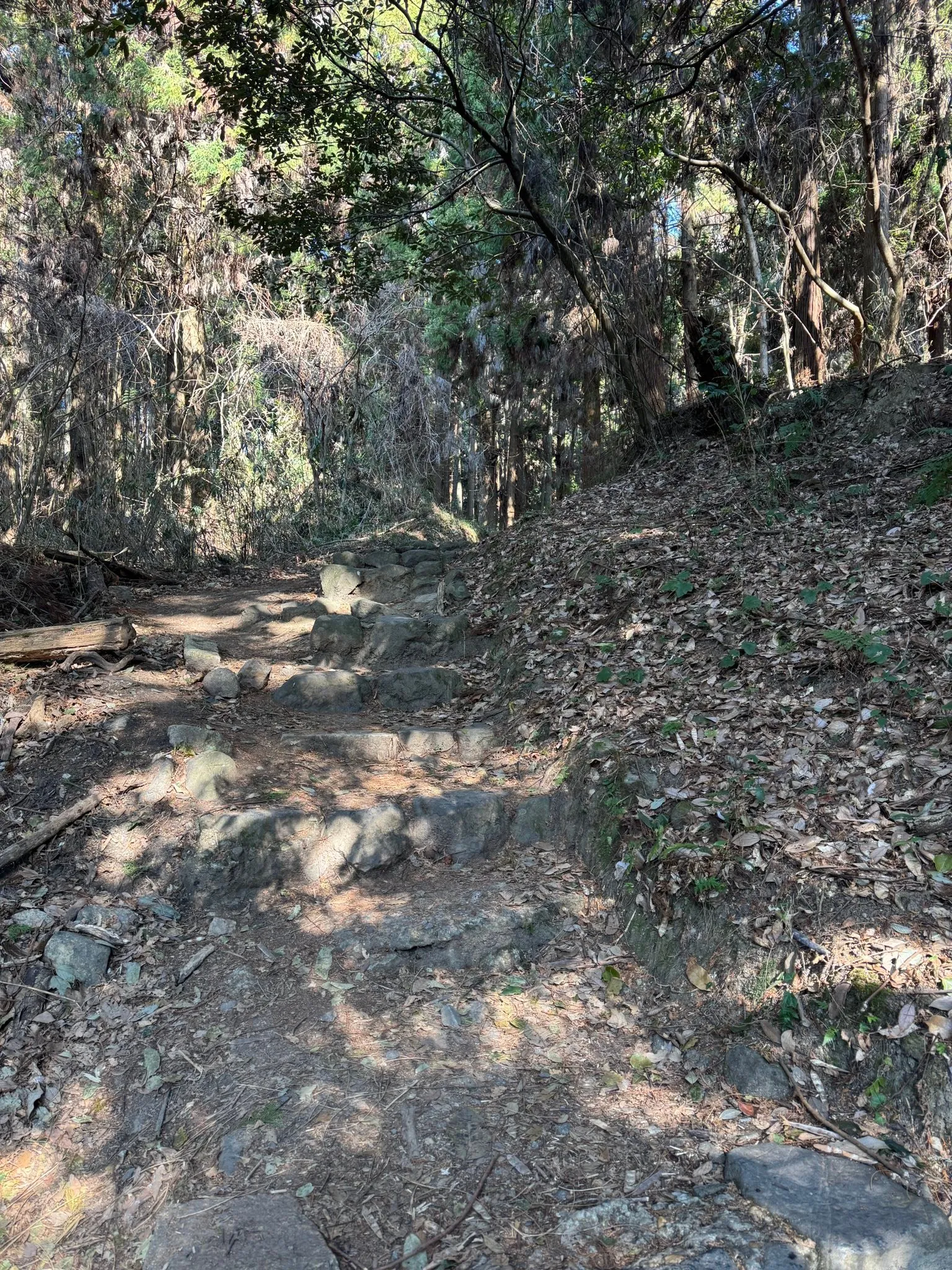 立春にお詣りに。