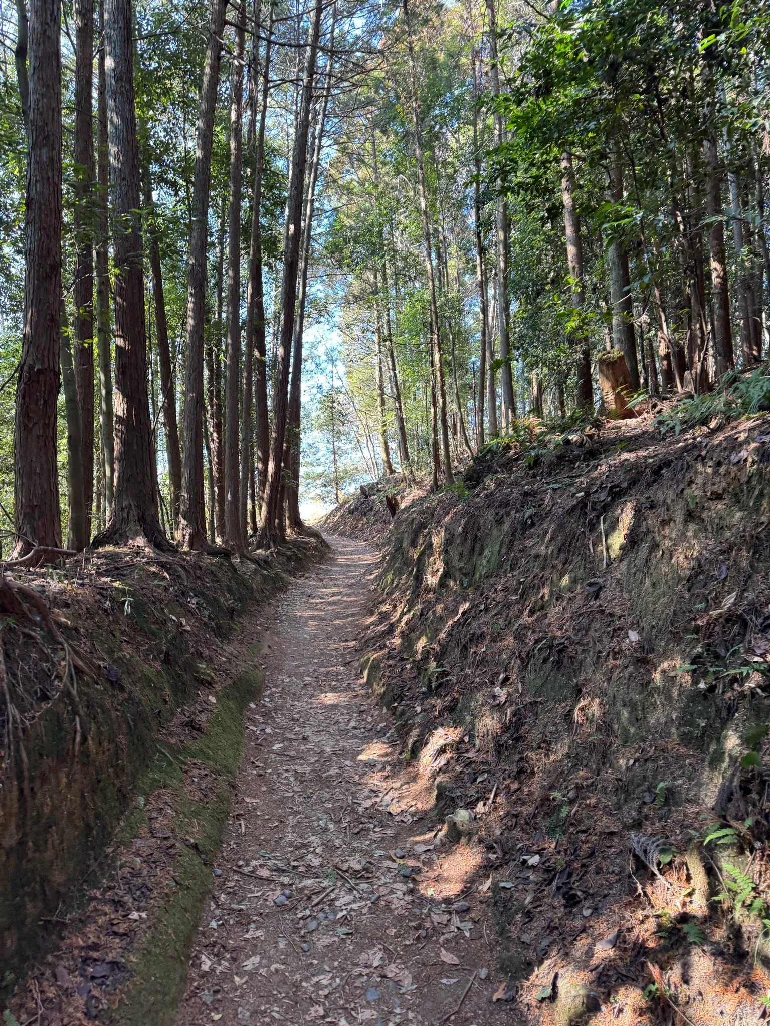 立春にお詣りに。